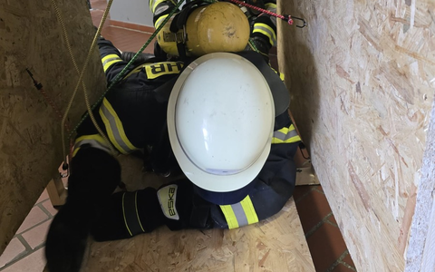 FW-WRN: Neue Atemschutzgeräteträgerinnen und -träger ausgebildet - Foto: presseportal.de