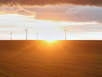 Windräder (Archiv) - Foto: über dts Nachrichtenagentur