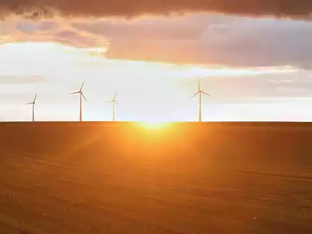 Windräder (Archiv) - Foto: über dts Nachrichtenagentur