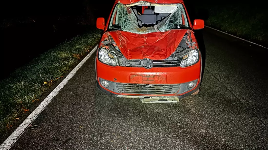 POL-PDPS: Verkehrsunfall mit tödlich verletztem Pferd - Bild: presseportal.de