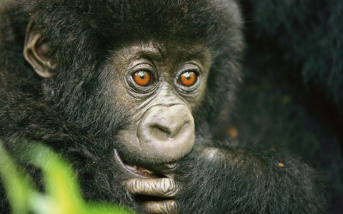  - Foto: Maleika Film GmbH über pressetext.de