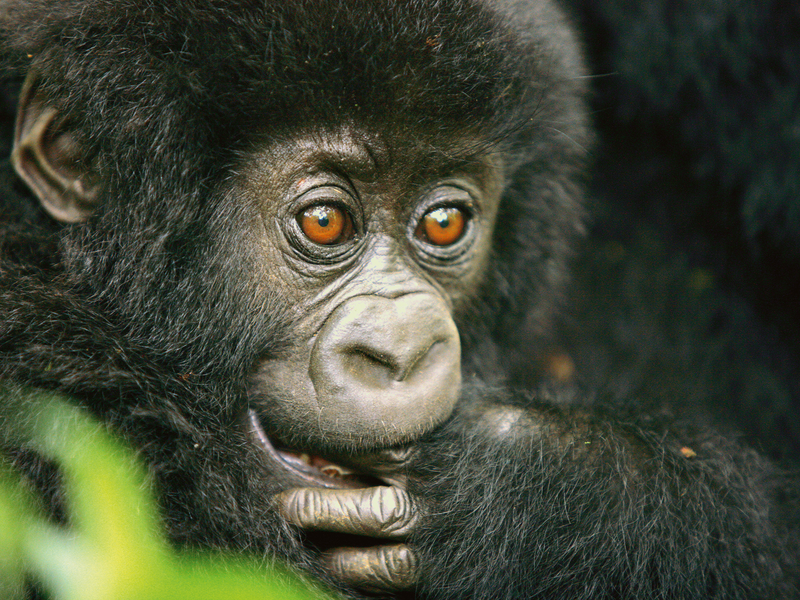  - Foto: Maleika Film GmbH über pressetext.de