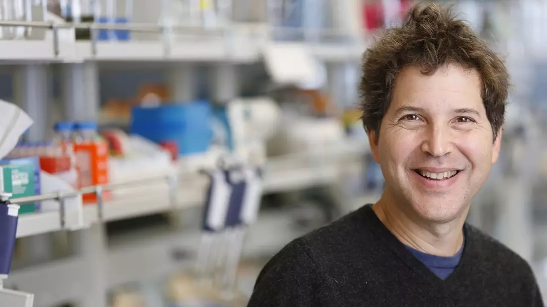 Der Biochemiker Baker entwickelte an der University of Washington in Seattle Ende der 1990er Jahre eine Software zur Vorhersage der Faltung von Proteinen. Später schuf er ein Programm, zur Schaffung von Proteinen. (undatiertes Foto) - Bild: Uncredited/UW Medicine/AP/dpa