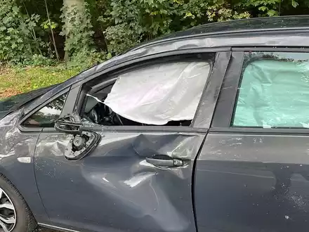 POL-STD: Agathenburg: Erneut Verkehrsunfall zwischen Pkw und Pferd - Foto: presseportal.de