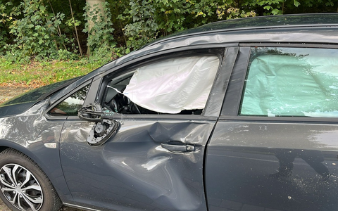 POL-STD: Agathenburg: Erneut Verkehrsunfall zwischen Pkw und Pferd - Foto: presseportal.de