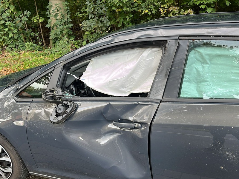 POL-STD: Agathenburg: Erneut Verkehrsunfall zwischen Pkw und Pferd - Foto: presseportal.de