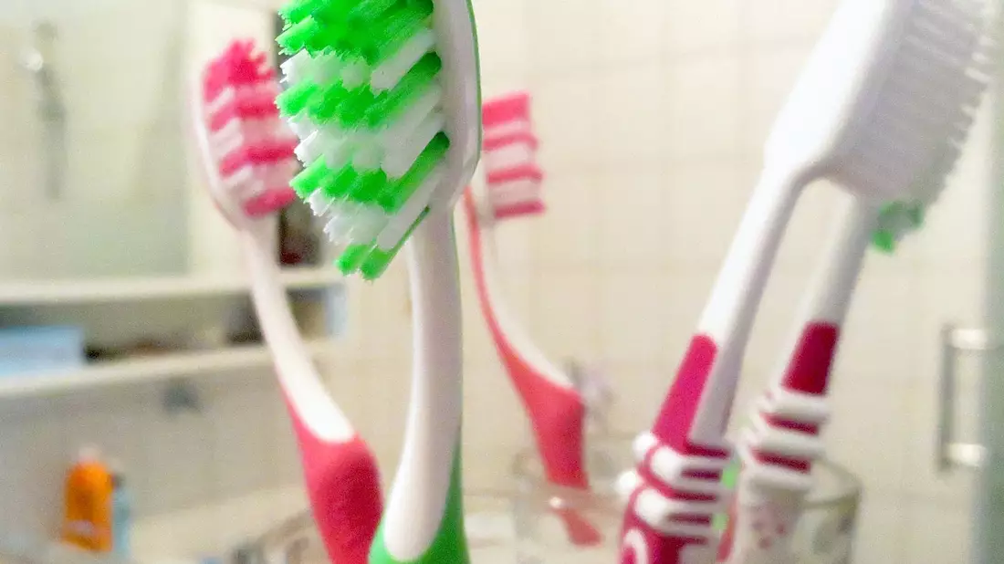 Auf Zahnbürsten und generell im Badezimmer tummeln sich unzählige Viren und Bakterien. (Archivbild) - Bild: picture alliance / Linda Vogt/dpa