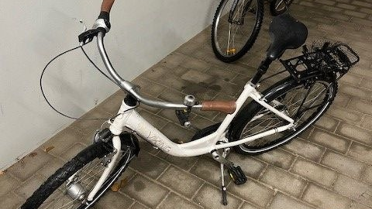 POL-PDLD: Landau - Wem gehören die Fahrräder? - Foto: presseportal.de