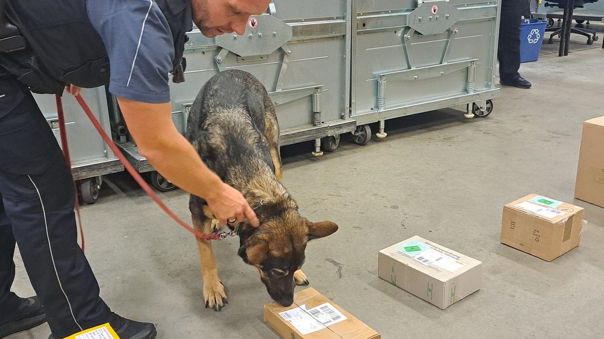 HZA-SB: Aktionstag Schichtwechsel - bundesweite Beteiligung des ZOLLS; Menschen mit und ohne Beeinträchtigung tauschen ihren Arbeitsplatz - Foto: presseportal.de