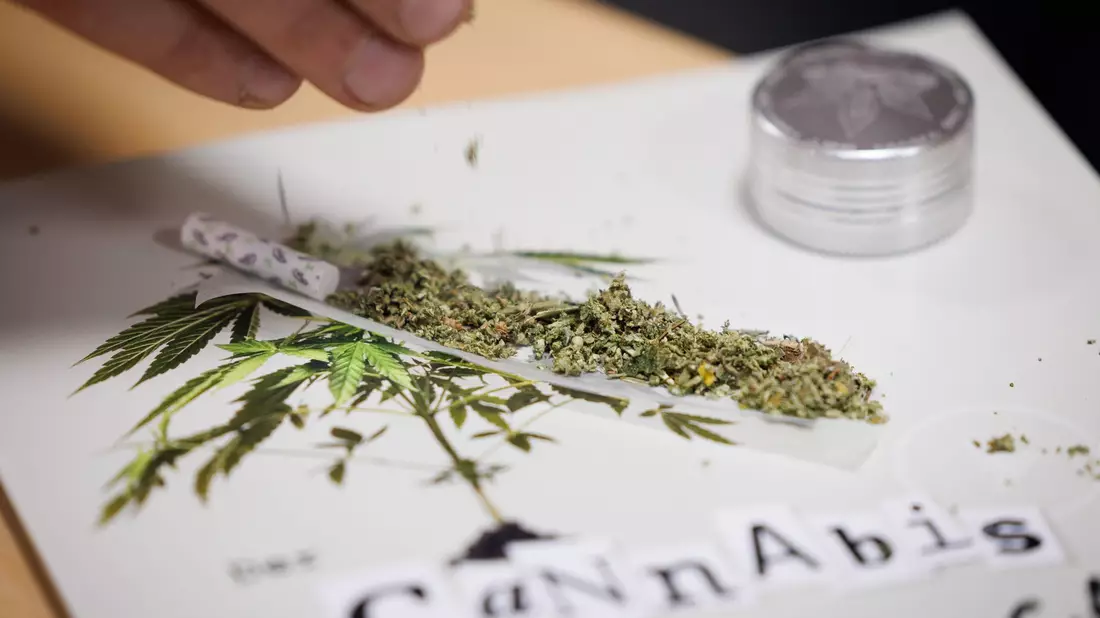 Seit 1. Juli können Erwachsene in nicht-kommerziellen «Anbauvereinigungen» Cannabis gemeinsam anbauen und untereinander zum Eigenkonsum abgeben. Zuvor müssen sie allerdings eine Erlaubnis beantragen. - Bild: Friso Gentsch/dpa