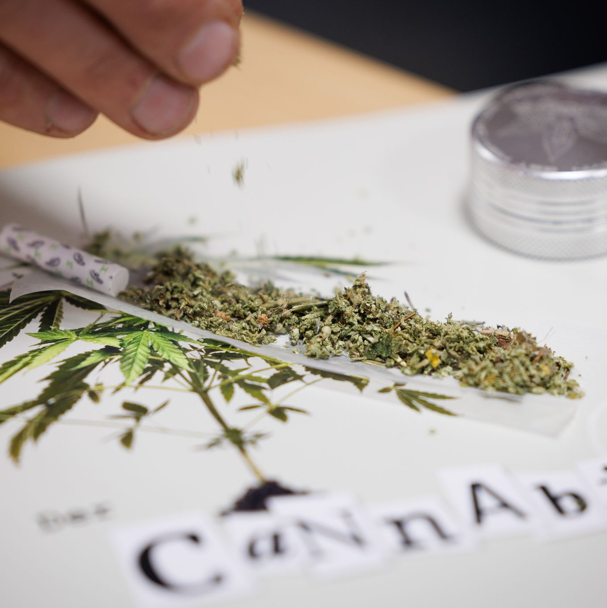 Seit 1. Juli können Erwachsene in nicht-kommerziellen «Anbauvereinigungen» Cannabis gemeinsam anbauen und untereinander zum Eigenkonsum abgeben. Zuvor müssen sie allerdings eine Erlaubnis beantragen. - Foto: Friso Gentsch/dpa