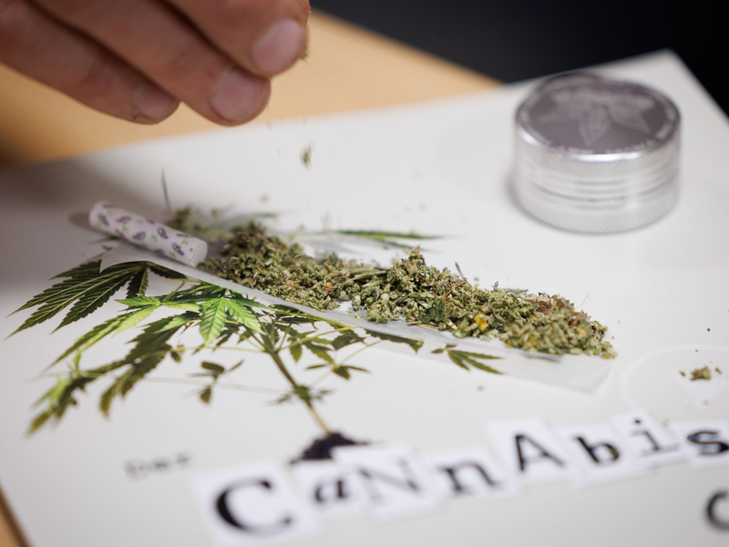 Seit 1. Juli können Erwachsene in nicht-kommerziellen «Anbauvereinigungen» Cannabis gemeinsam anbauen und untereinander zum Eigenkonsum abgeben. Zuvor müssen sie allerdings eine Erlaubnis beantragen. - Foto: Friso Gentsch/dpa