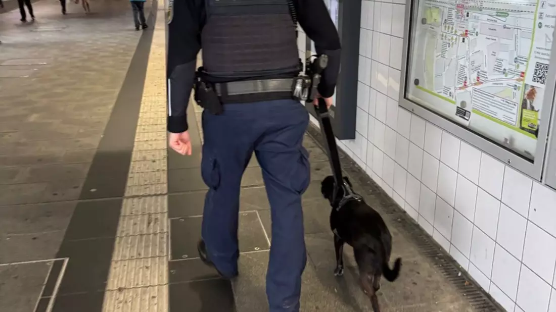 Bundespolizeidirektion München: Tierischer Einsatz für die Bundespolizei - Chicka allein in München - Bild: presseportal.de
