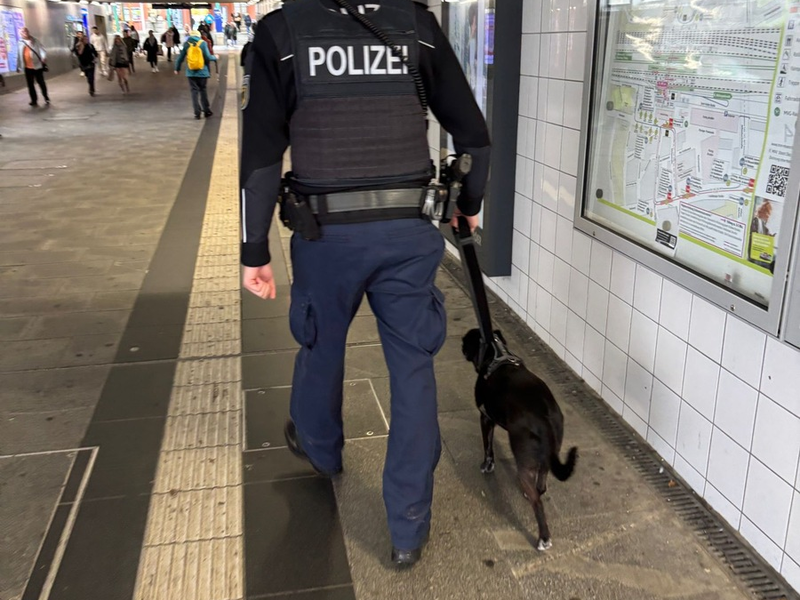 Bundespolizeidirektion München: Tierischer Einsatz für die Bundespolizei - Chicka allein in München - Foto: presseportal.de