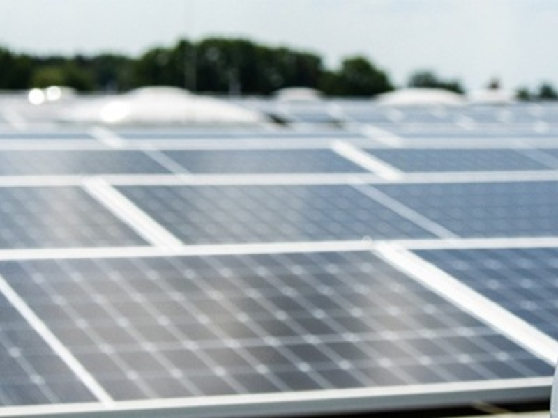 ace Group mit zwei starken Geschäftsbereichen für die Zukunft gerüstet - Foto: presseportal.de