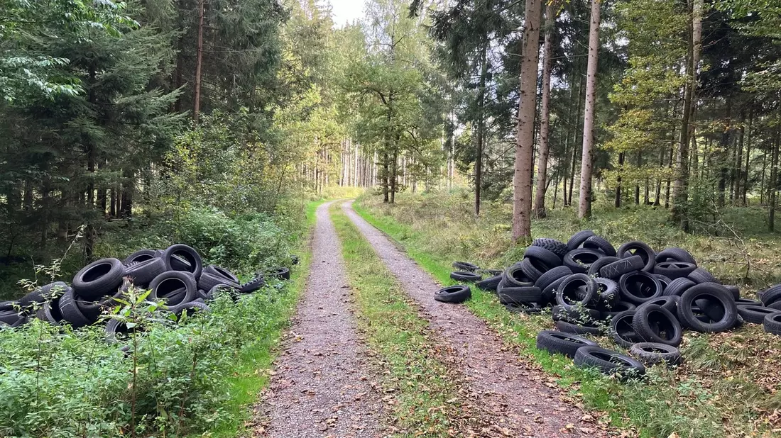 POL-UL: (BC) Ertingen - Erneut haufenweise Altreifen entsorgt / In den vergangenen Tagen hatte ein Unbekannter bei Ertingen wieder rund 100 Reifen bei Ertingen entsorgt. - Bild: presseportal.de