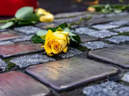 Nach dem Diebstahl aller zehn Stolpersteine in der Stadt Zeitz sind bereits Tausende Euro Spenden geflossen. (Archivbild) - Foto: Sascha Lotz/dpa