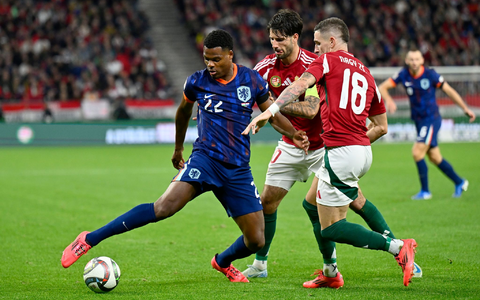 Denzel Dumfries traf für die Niederlande zum Ausgleich in Ungarn. - Foto: Denes Erdos/AP/dpa