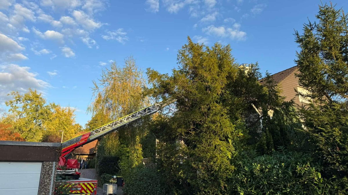 FW Menden: Küchenbrand in einem Wohnhaus - Foto: presseportal.de