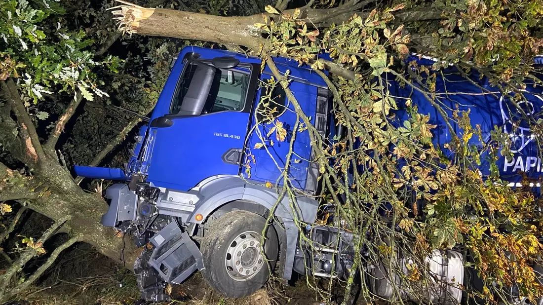 POL-PDTR: Sattelzug kollidiert mit Baum - Bild: presseportal.de