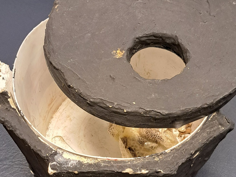 POL-PDTR: Fundstück des Jahres - Finder bringt Königspython zur Polizeiinspektion Schweich - Foto: presseportal.de