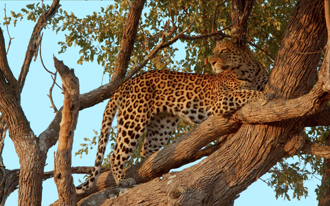  - Foto: Maleika Film GmbH über pressetext.de