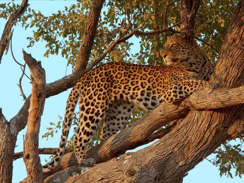  - Foto: Maleika Film GmbH über pressetext.de