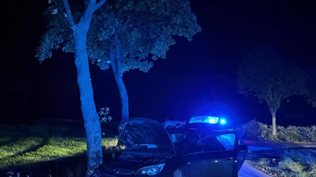 POL-COE: Lüdinghausen, Westrup/ Auto kollidiert mit Baum - Bild: presseportal.de