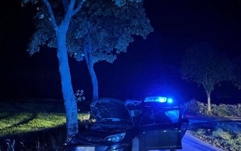 POL-COE: Lüdinghausen, Westrup/ Auto kollidiert mit Baum - Bild: presseportal.de