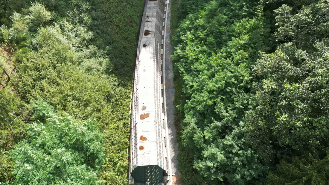 Die Hermann-Hesse-Bahn bei Calw ist ein jüngeres Beispiel für die Reaktivierung alter Bahntrassen. (Archivfoto) - Bild: Bernd Weißbrod/dpa