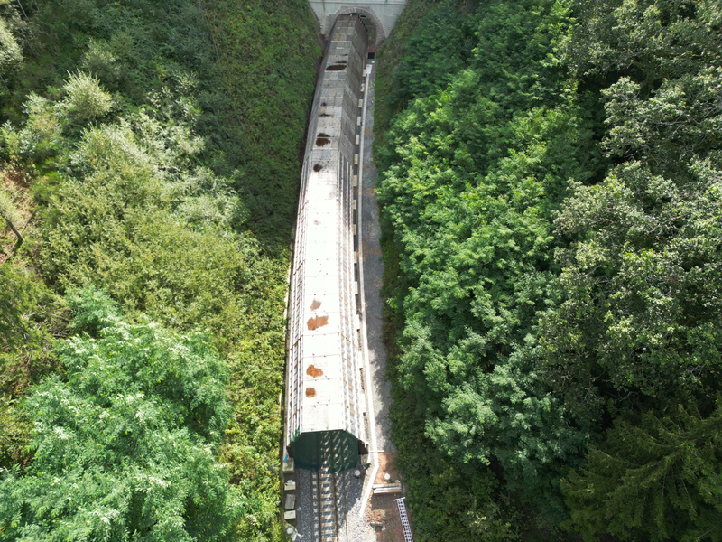 Die Hermann-Hesse-Bahn bei Calw ist ein jüngeres Beispiel für die Reaktivierung alter Bahntrassen. (Archivfoto) - Foto: Bernd Weißbrod/dpa