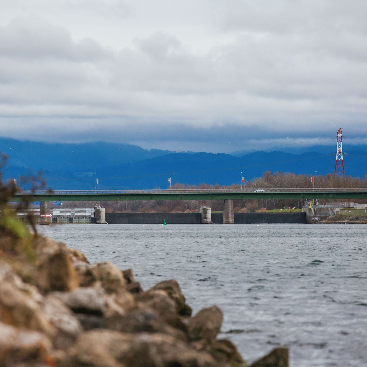 Nach dem Fund von Leichenteilen im Rhein wurde der 58-Jährige angeklagt. (Archivbild) - Foto: Philipp von Ditfurth/dpa