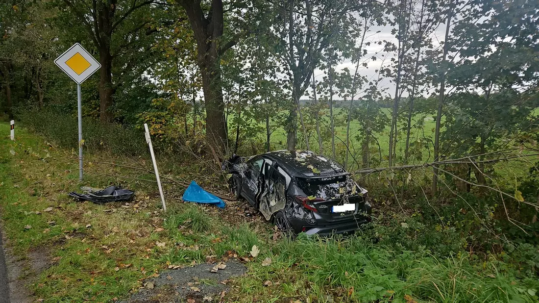 POL-CUX: Verkehrsunfall zwischen Traktor und PKW auf der Landesstraße 119 zwischen Neuenwalde und Fickmühlen - drei Personen leicht verletzt, darunter 8-jähriges Kind (Lichtbild in der Anlage) - Bild: presseportal.de