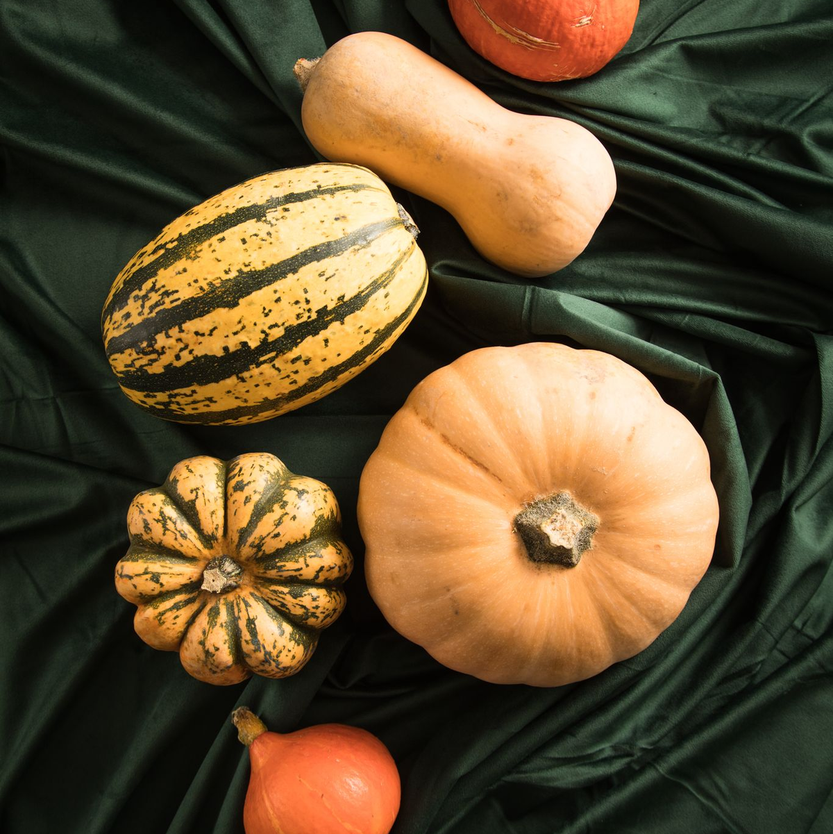 Oft greift man zum Hokkaido, weil man da die Schale mit verwenden kann. Doch es lohnt sich, auch mal andere Sorten auszuprobieren, etwa Butternut-Kürbis, Spaghetti-Kürbis oder Gorgonzola-Kürbis. - Foto: Christin Klose/dpa-tmn