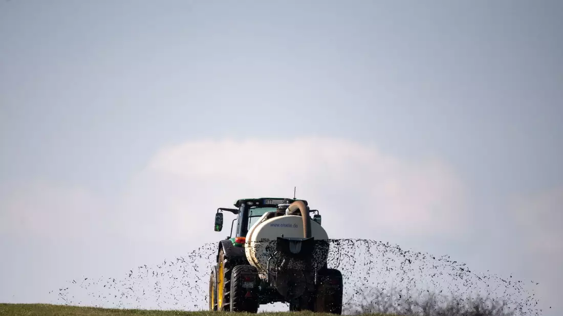 Die größte Belastung des Oberflächen- und Grundwassers gehe von der Landwirtschaft aus, berichtet die EU-Umweltagentur. - Bild: Sebastian Gollnow/dpa