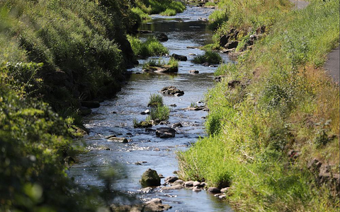 Fluss Sinn (Archiv) - Foto: über dts Nachrichtenagentur