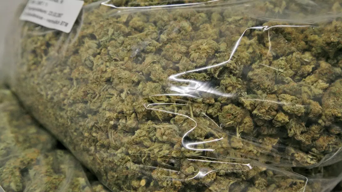 HZA-KO: Mehr als 180 Kilogramm Marihuana sichergestellt - Bild: presseportal.de