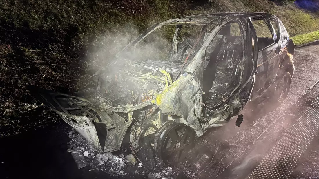 POL-DEL: Autobahnpolizei Ahlhorn: Fahrzeugbrand auf der Autobahn 29 in Hatten - Bild: presseportal.de