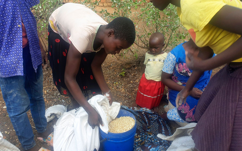 Millionen Menschen sind auf Nahrungsmittelhilfe angewiesen. (Archivbild) - Foto: Kenneth Jali/AP