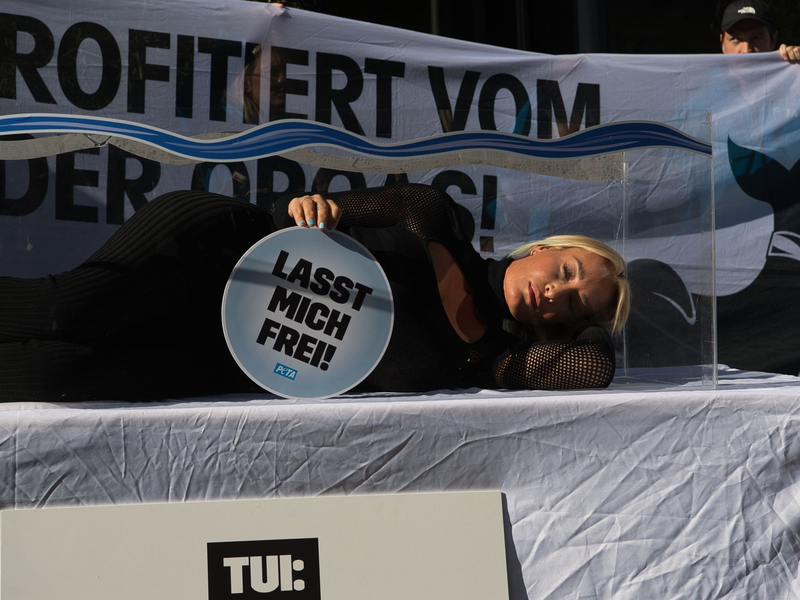 «Es gibt keine artgerechte Haltung für Tiere wie Orca-Wale in Gefangenschaft», sagt Sarah Connor. - Foto: Paul Zinken/dpa