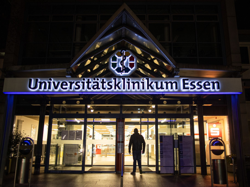 Vermutlich nach dem Verzehr von Giftpilzen werden drei Kinder in einer Klinik behandelt. (Archivbild) - Foto: Marcel Kusch/dpa