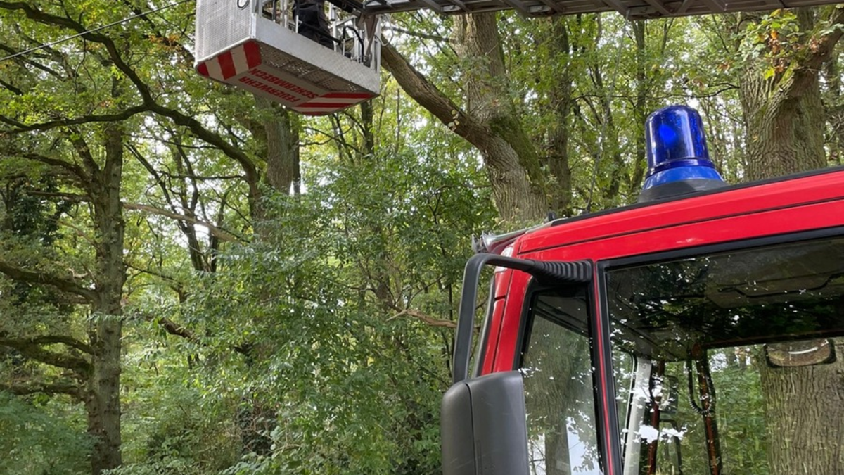 FW-Schermbeck: Sturmschaden am Sonntag - Foto: presseportal.de