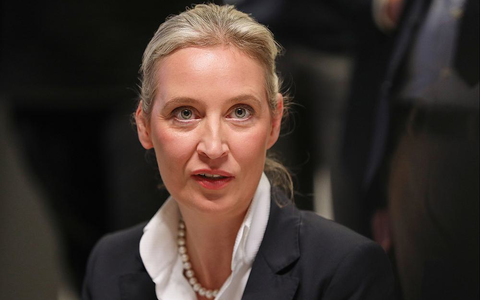 Alice Weidel (Archiv) - Foto: über dts Nachrichtenagentur