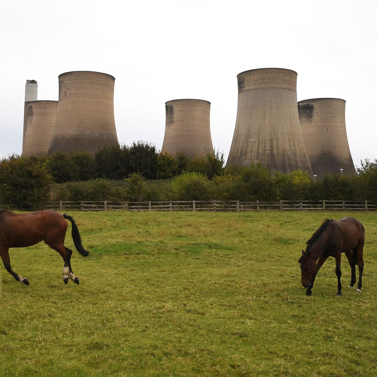 Die Energieagentur geht davon aus, dass die Nachfrage nach allen drei fossilen Brennstoffen bis zum Ende des Jahrzehnts ihren Höhepunkt erreichen wird. (Archivbild) - Foto: Rui Vieira/AP/dpa
