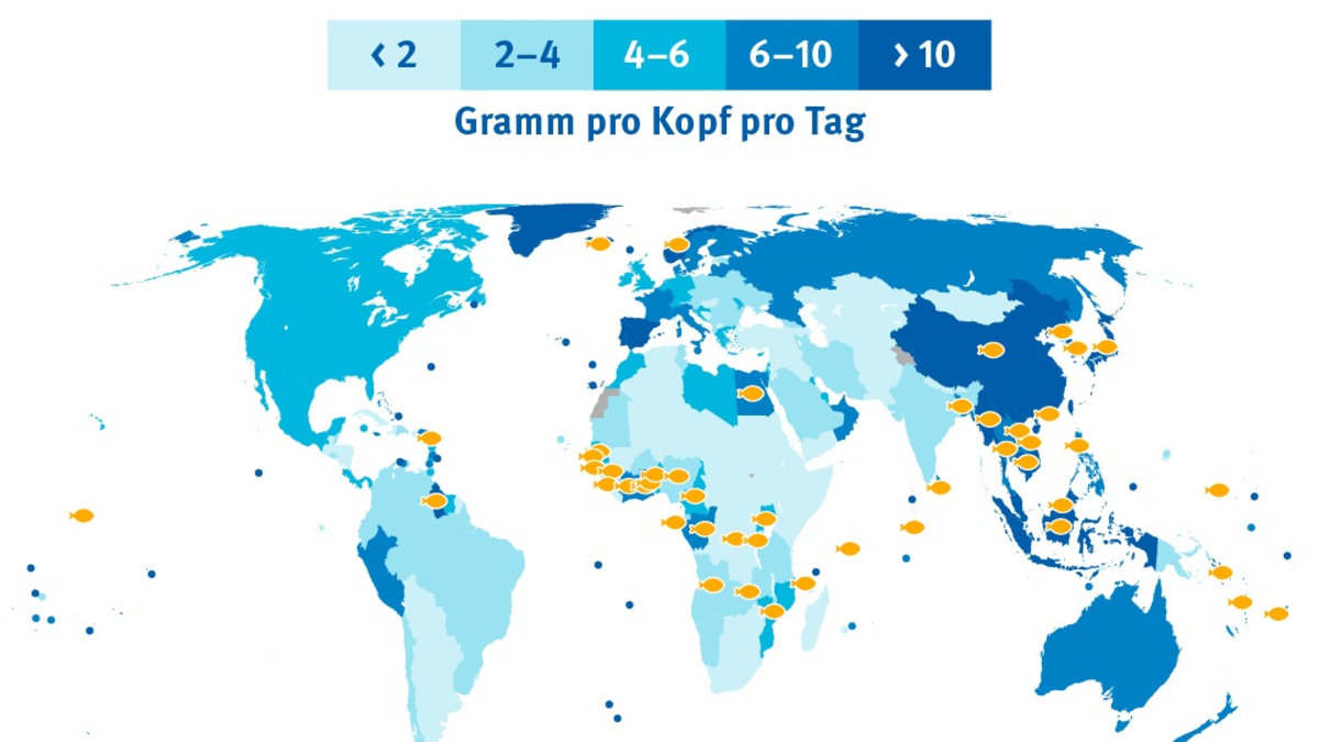 Fisch für die Welternährung - Dringender Handlungsbedarf für globale Nahrungssicherheit - Foto: presseportal.de