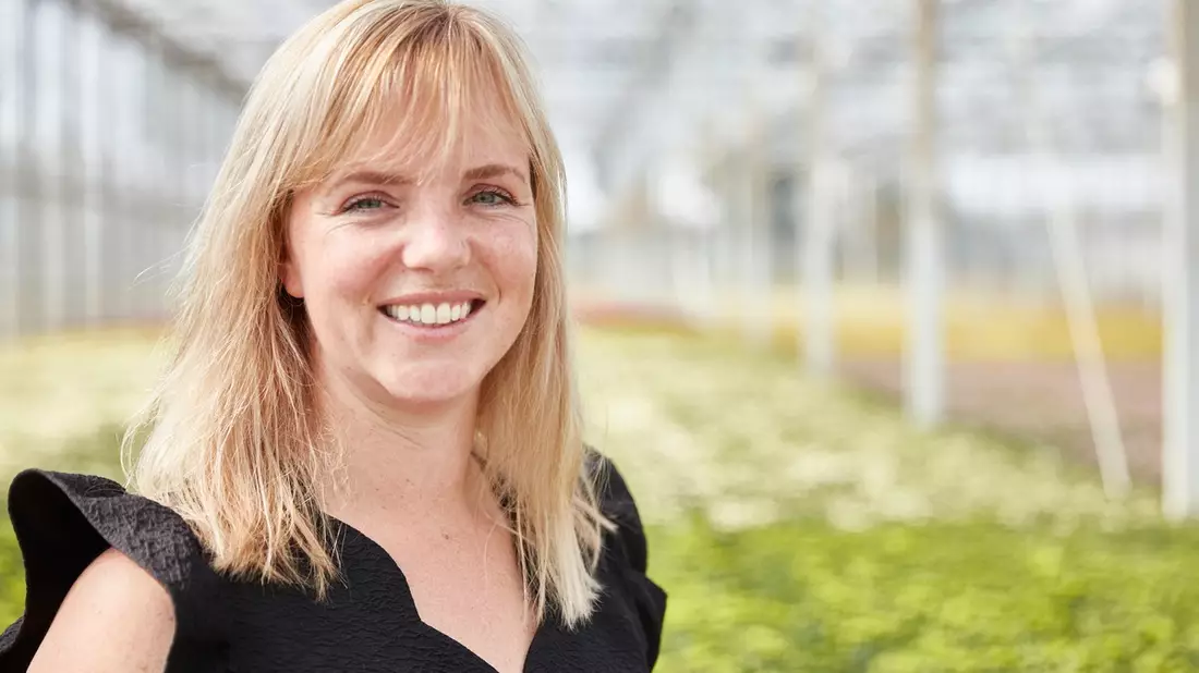Pflegetipps von Züchterin Juliska Hofman / Mit Chrysanthemen durch den Winter - Bild: presseportal.de