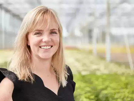 Pflegetipps von Züchterin Juliska Hofman / Mit Chrysanthemen durch den Winter - Foto: presseportal.de