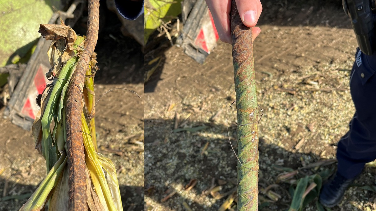 POL-PB: Gefährlich! Torstahlstangen im Maisfeld entdeckt - Foto: presseportal.de