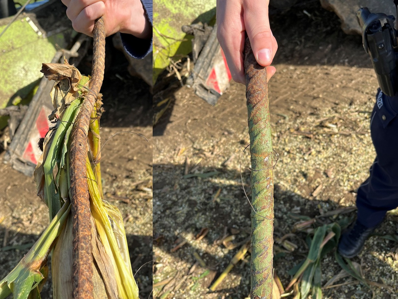 POL-PB: Gefährlich! Torstahlstangen im Maisfeld entdeckt - Foto: presseportal.de