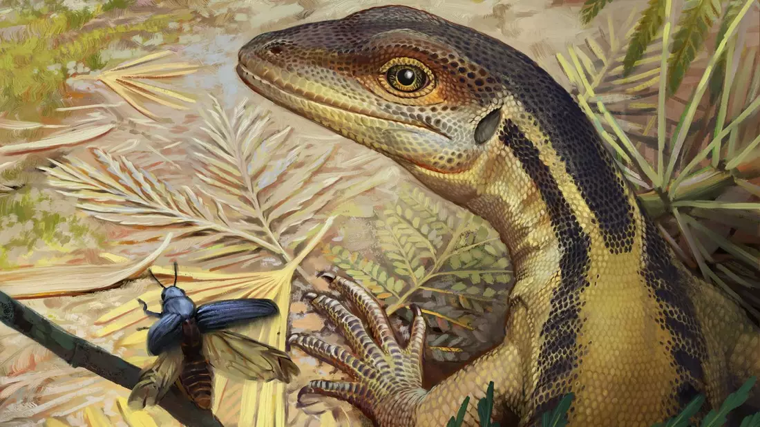 So könnte ein Reptil ausgesehen haben, das ein Vorfahr aller heutigen Reptilien war. (Illustration) - Bild: -/Universität Tübingen/dpa